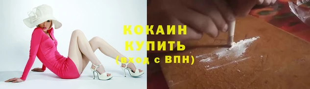 сатива Аркадак