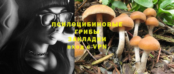 сатива Аркадак
