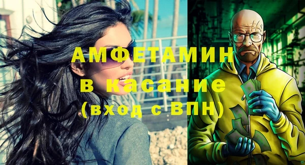 сатива Аркадак