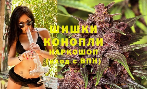 сатива Аркадак