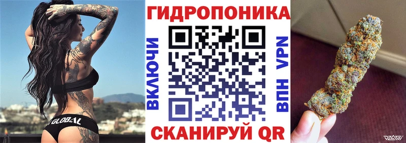 Канабис конопля  Чудово 